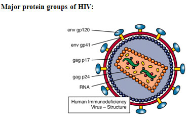 HIV Groups